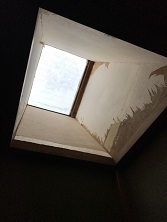 石川邸 トイレ・明かり取り_180904_0003.jpg