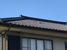 1001 太田良邸 瓦ズレ_181001_0001.jpg