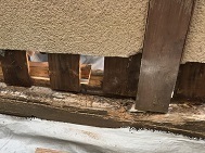 1210関山さん_181211_0012.jpg