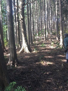 20191205山 一ノ瀬_191206_0002.jpg