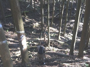 20191205山 一ノ瀬_191206_0012.jpg