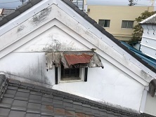 おおみや 蔵_190213_0006.jpg