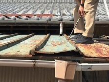 ショウジさん_190326_0007.jpg