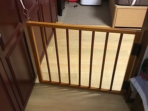 八木邸 犬 策_191128_0001.jpg