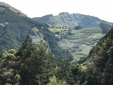 山 管理_190423_0001.jpg