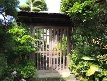 山本茂之邸 門_190531_0007.jpg
