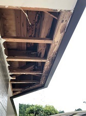 杉村邸 雨漏り_190927_0007.jpg