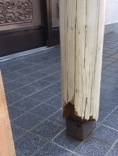 池谷さん_190318_0003.jpg
