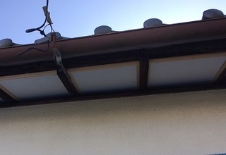 池谷セツさん_190225_0001.jpg
