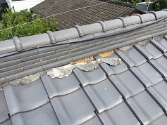 田島さん 屋根_190729_0002.jpg