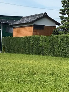 近藤邸 倉庫完成_190909_0006.jpg