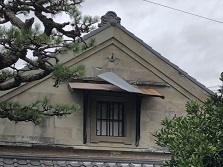 S__9322501.jpg